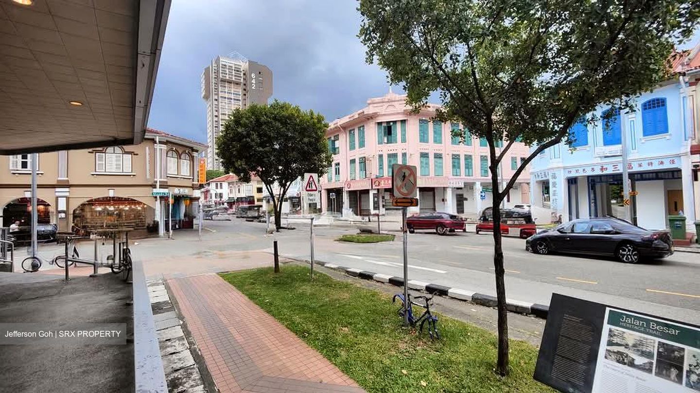 Jalan Besar Plaza (D8), Shop House #547102121